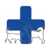 ვეტი, პაატა ჩხეიძის ვეტერინარული კლინიკა